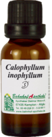 CALOPHYLLUM inophyllum Öl